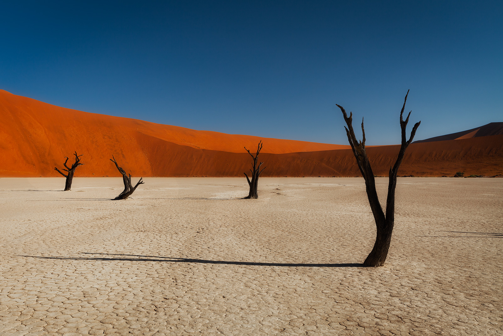 Harsh lighting taking over at Deadvlei