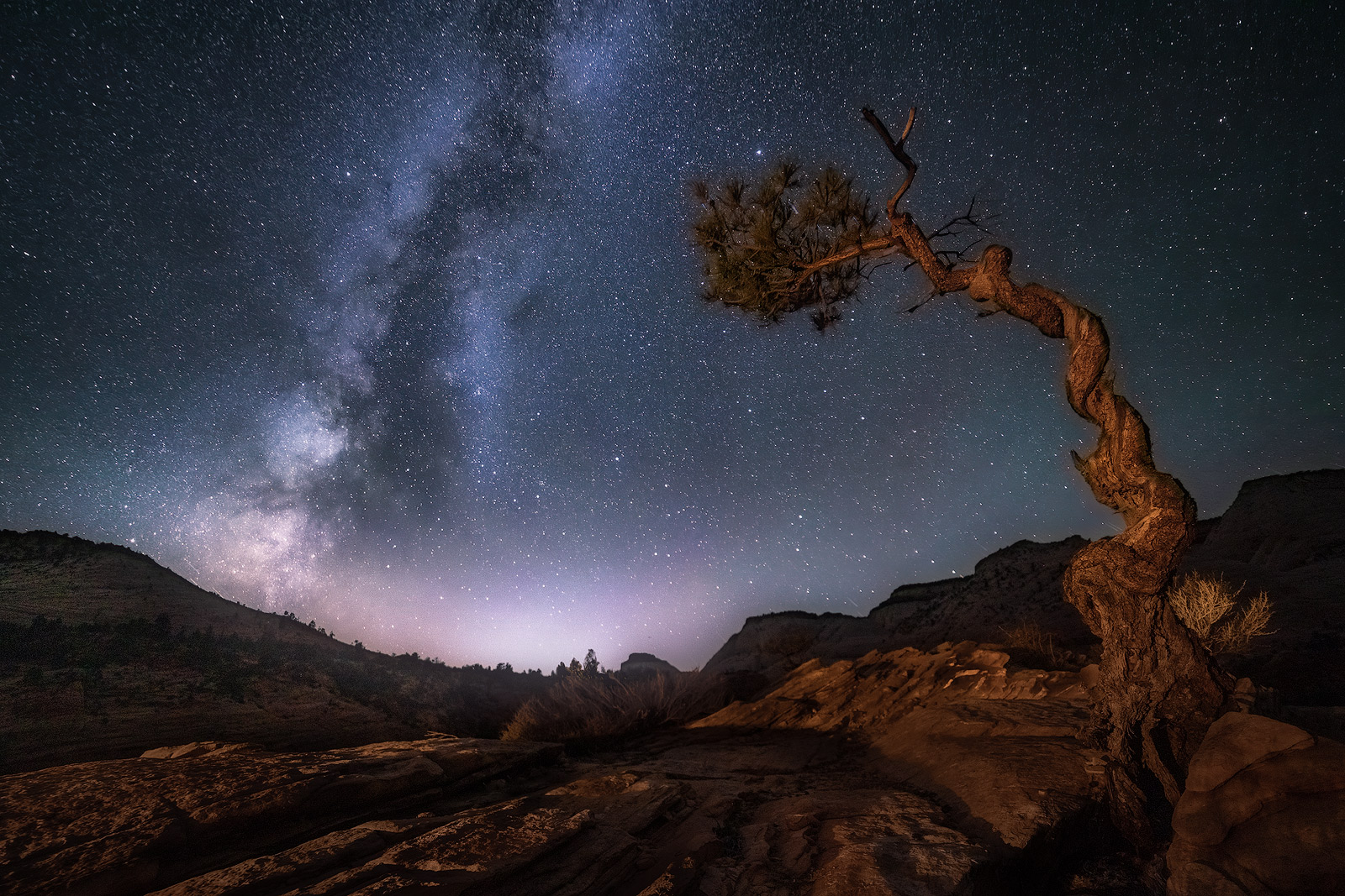 The Milky Way behind an amazing twisted tree high up in the rocks of Utah.