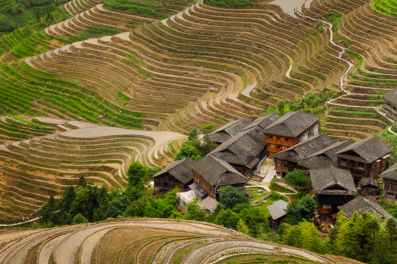 China's Longji rice terraces viewpoint 2