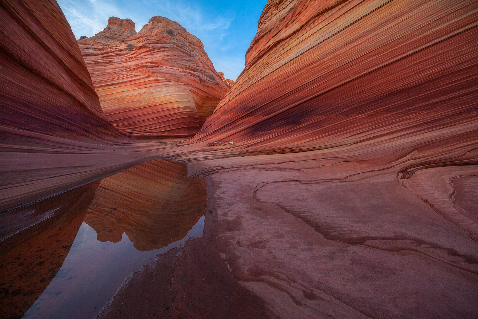 A shallow pool nestled among sandstone in the desert of Arizona.